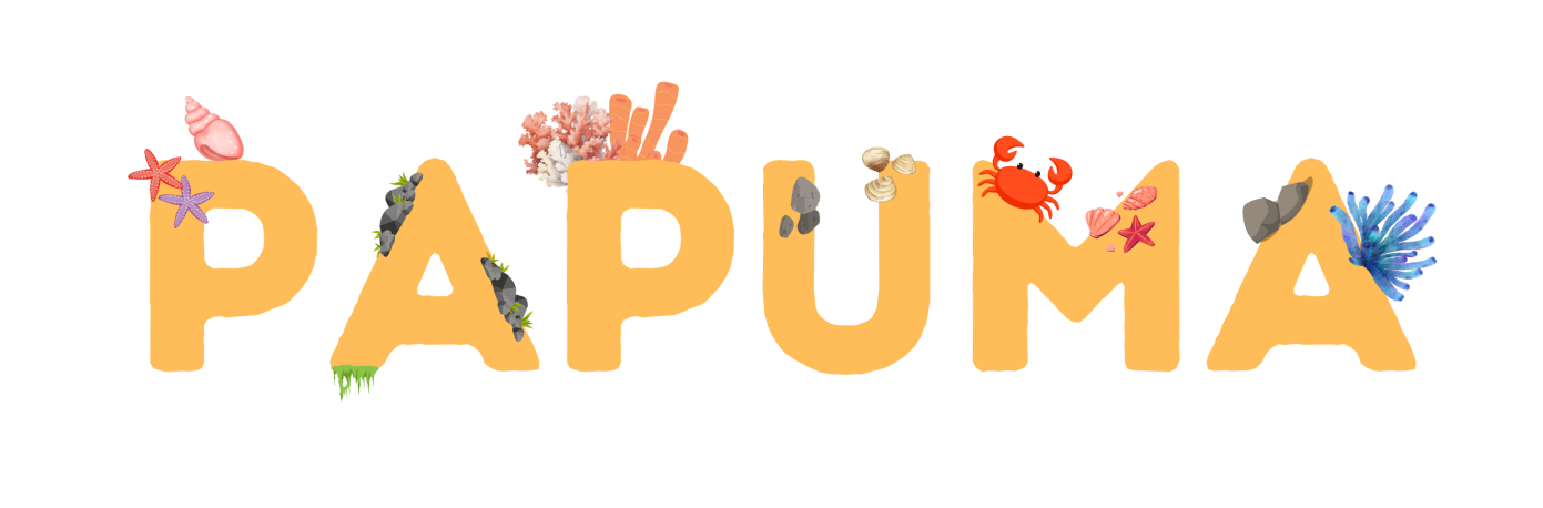 Header Ilustrations