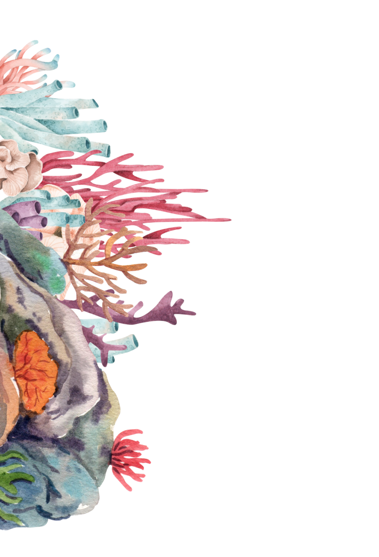 Ilustrations
